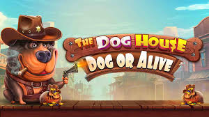 An Overview of The Dog House – Dog or Alive Slot