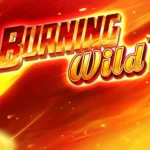 Burning Wild Slots